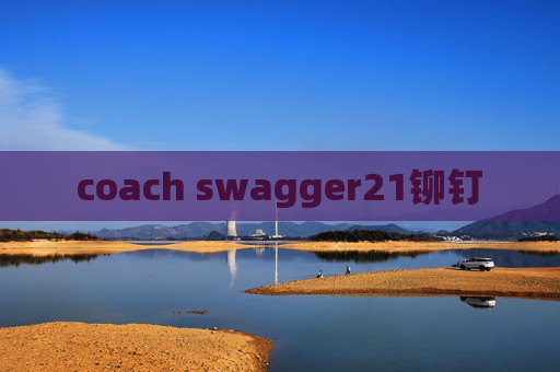 coach swagger21铆钉